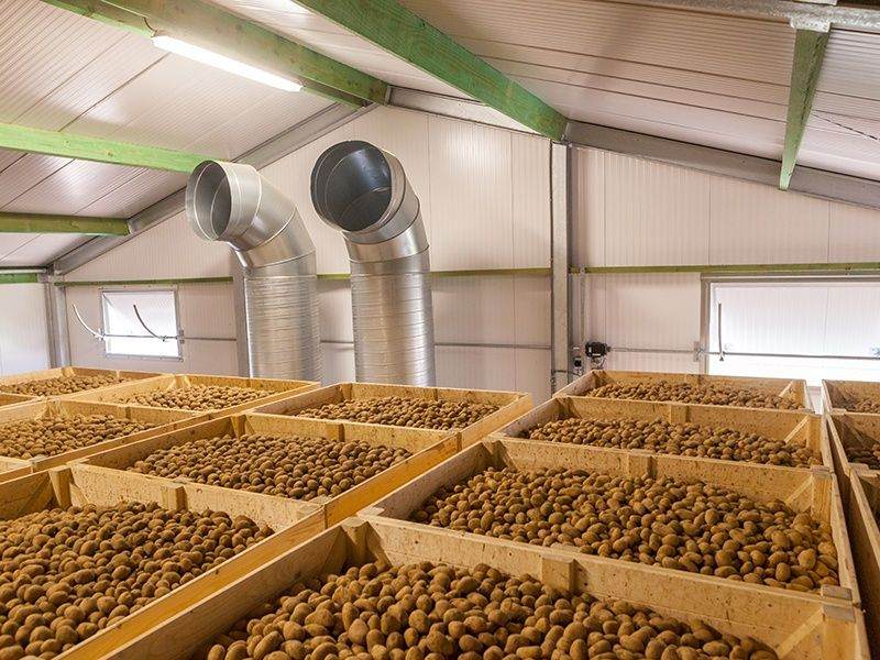 Проектирование вентиляции в овощехранилище